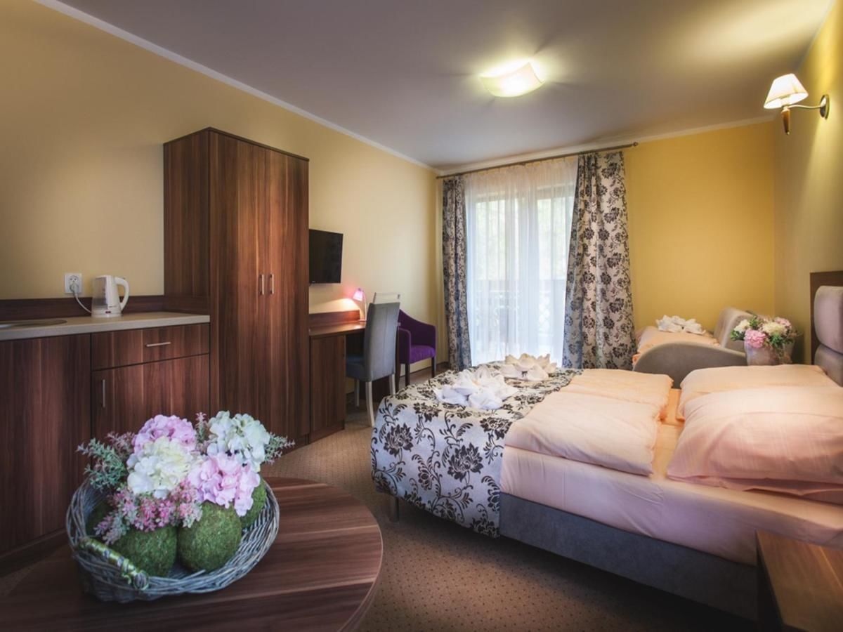 Отель Hotel Trzy Sosny Шклярска-Поремба-30