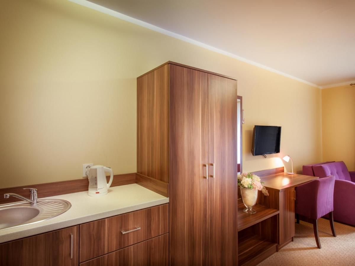 Отель Hotel Trzy Sosny Шклярска-Поремба-37