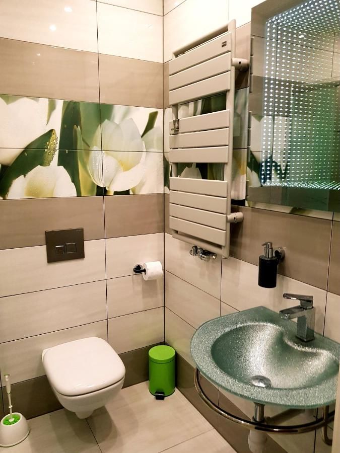 Отель Hotel Trzy Sosny Шклярска-Поремба-38