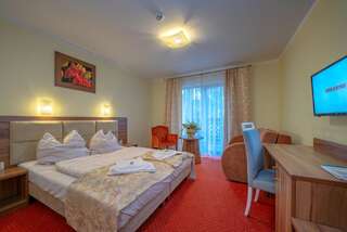 Отель Hotel Trzy Sosny Шклярска-Поремба Двухместный номер с 1 кроватью или 2 отдельными кроватями и балконом-9