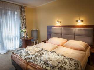 Отель Hotel Trzy Sosny Шклярска-Поремба Двухместный номер с 1 кроватью или 2 отдельными кроватями и балконом-18